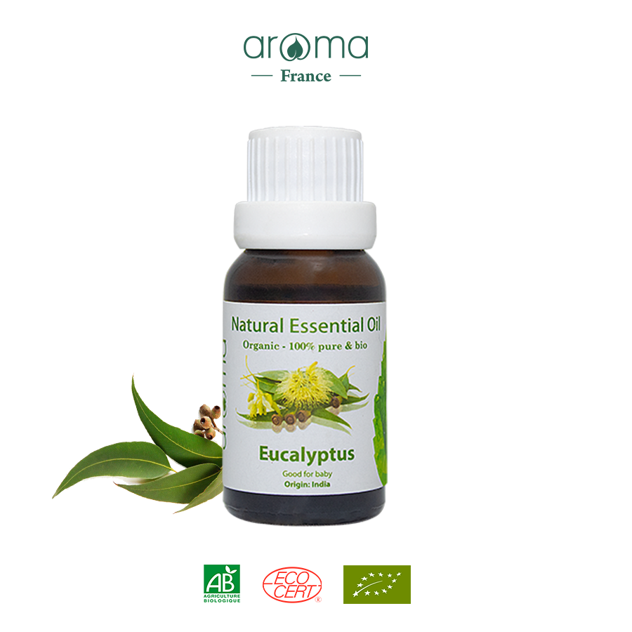 Tinh Dầu Aroma Khuynh Diệp Nguyên Chất  Eucalyptus - 10ml/15ml/30ml/50ml