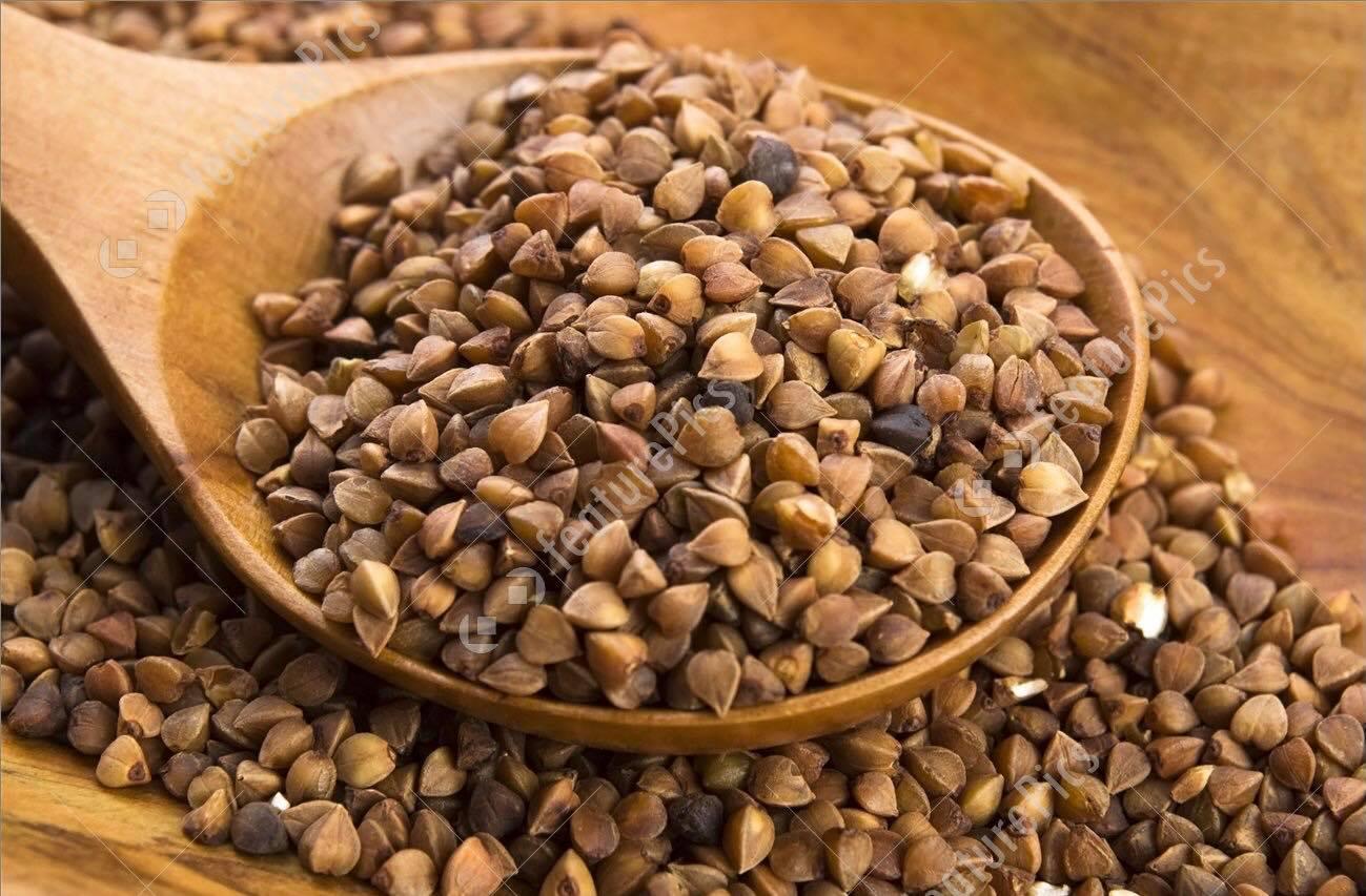 500g hạt ba khía (Buckwheat)-thức ăn: Hamster, sóc, vẹt.