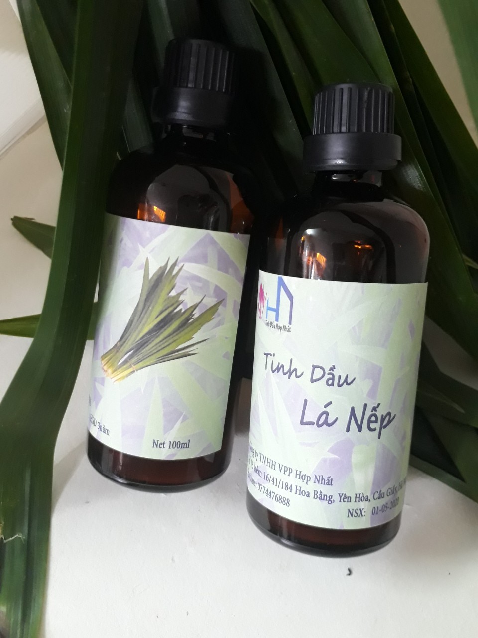 Tinh dầu Lá Nếp thơm Lọ 100ml