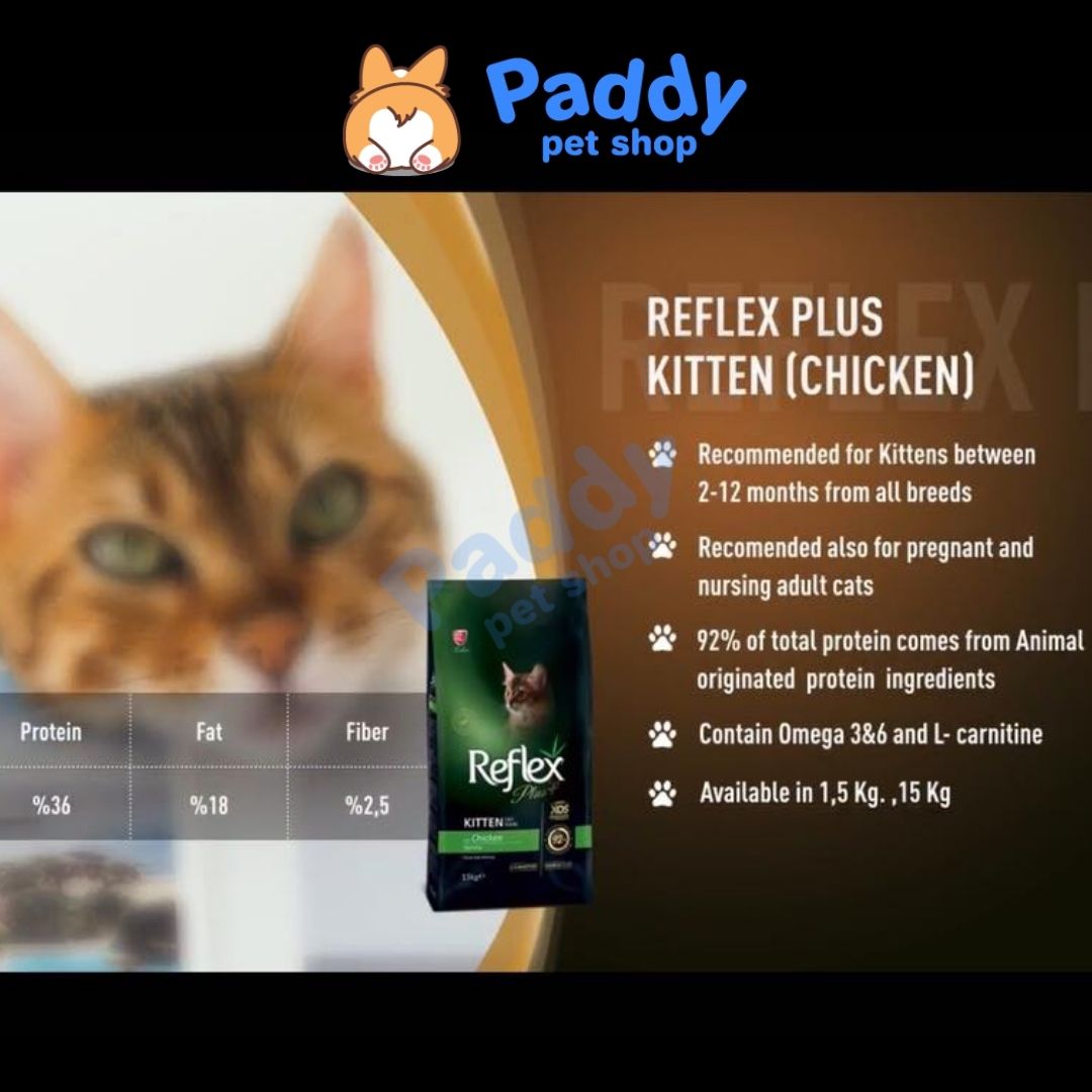 Hạt Reflex Kitten Loại Thường 2kg