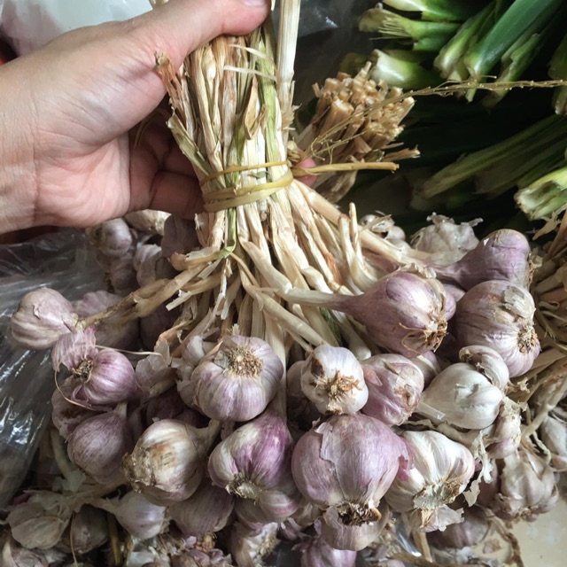 tỏi tía ta 500gr