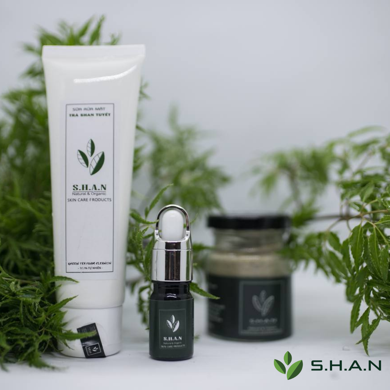 Tinh bột trà đắp mặt SHAN