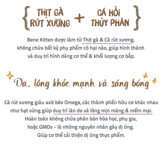 [5KG] Thức ăn cho mèo Natural Core Kitten C1
