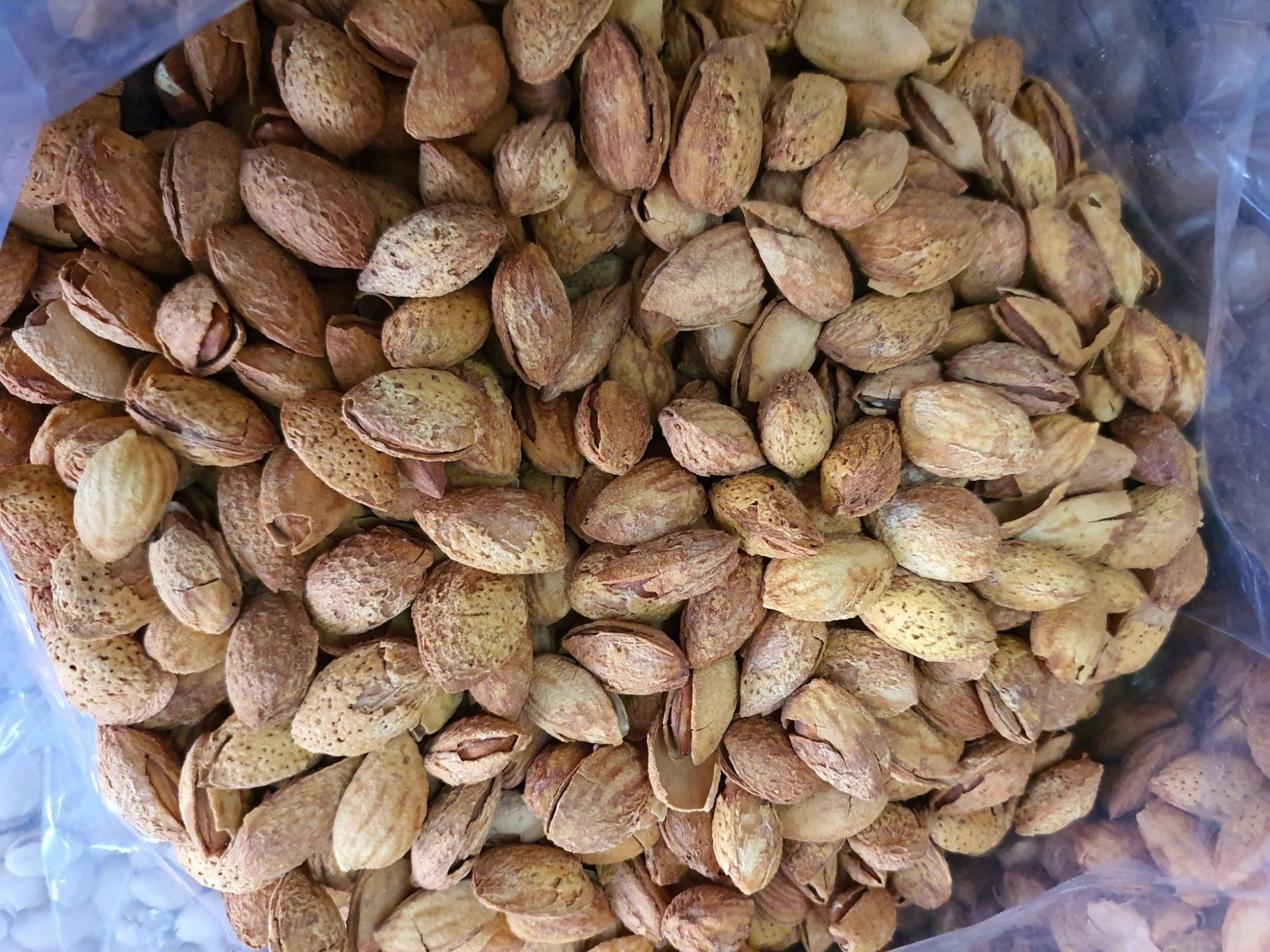 Hạnh Nhân Ruột - Hủ