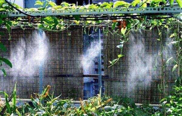 Đế giữa gắn béc phun sương bằng đồng ( chưa kèm béc )