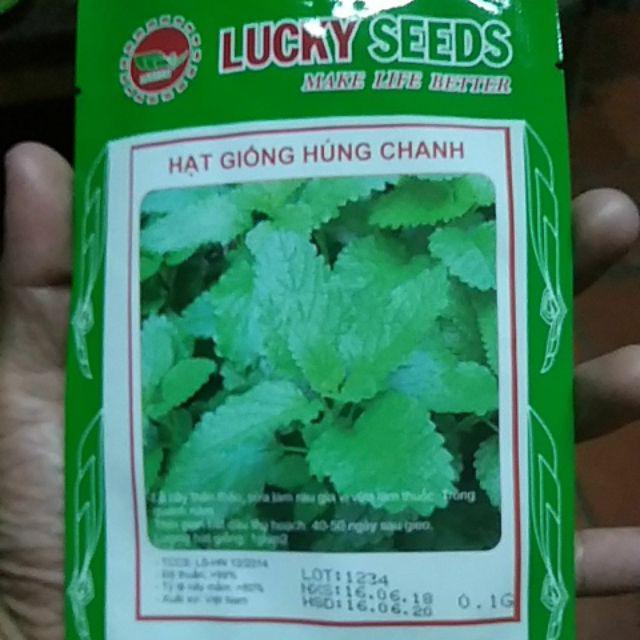 Hạt giống rau húng chanh gói 0,1 gram