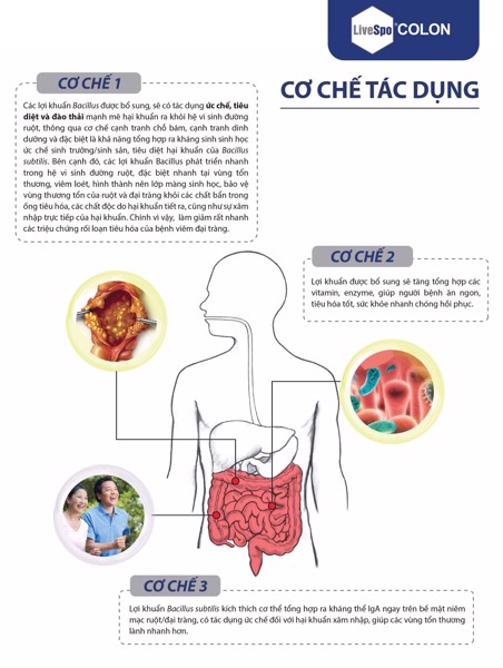 Men vi sinh LiveSpo Colon 3 tỷ bào tử lợi khuẩn cho người viêm đại tràng, táo bón tiêu chảy (Hộp 10 ống x 5ml)
