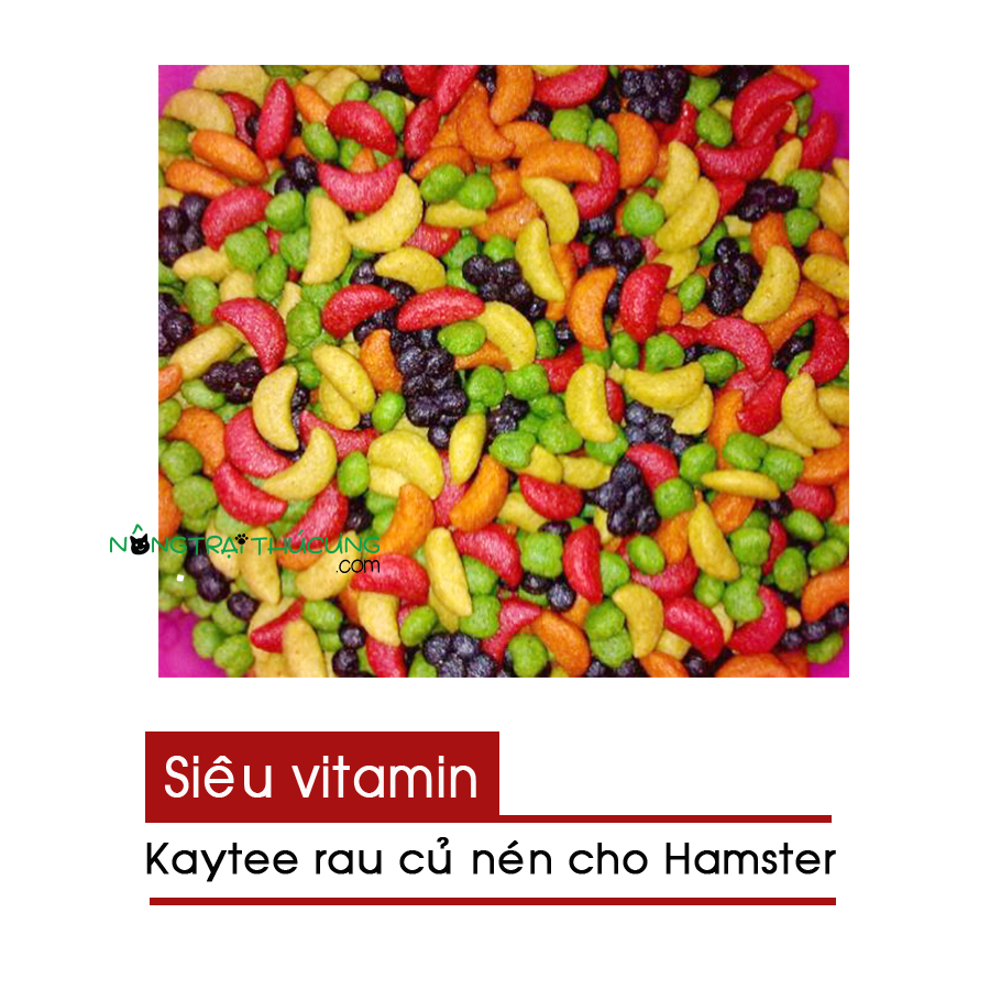 Kaytee rau củ nén cho Hamster siêu Vitamin - Gói 50gr - [Nông Trại Thú Cưng]