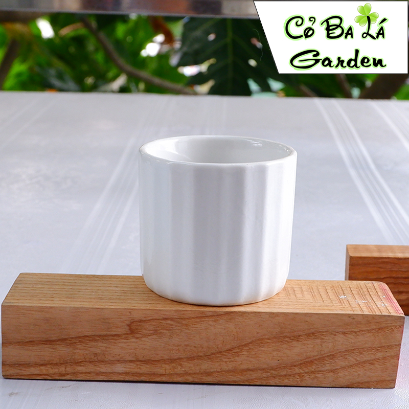 chậu sứ bát tràng hình trụ