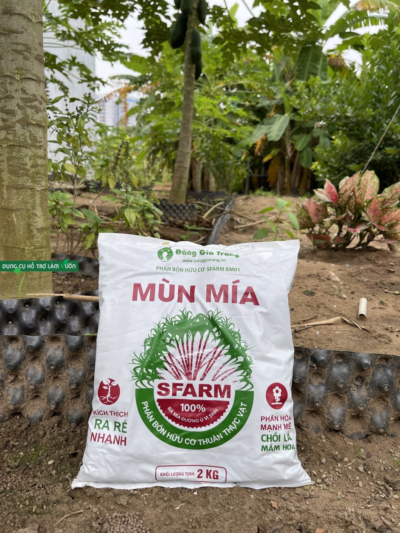 Phân Mùn mía Sfarm gói 2kg hoàn toàn tự nhiên tốt cho cây trồng