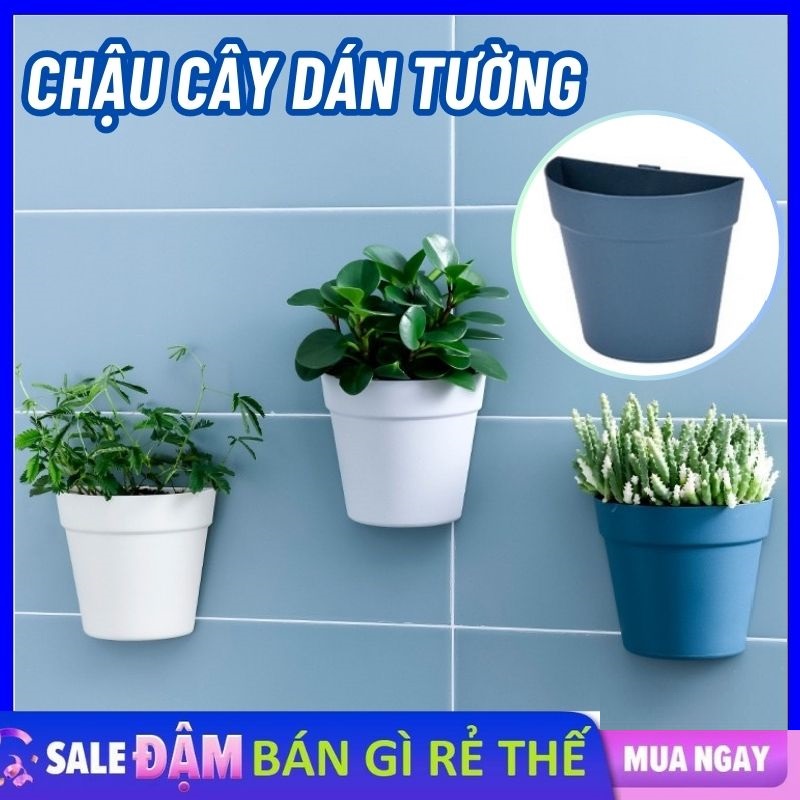 Chậu nhựa ốp tường màu sắc tươi sáng, chuẩn hàng đẹp, Trồng các loại hoa và cây kiểng siêu đẹp - Chậu Trồng Cây Dán Tường Treo Phòng Tắm Ban Công - Chậu trồng cây nhựa treo tường