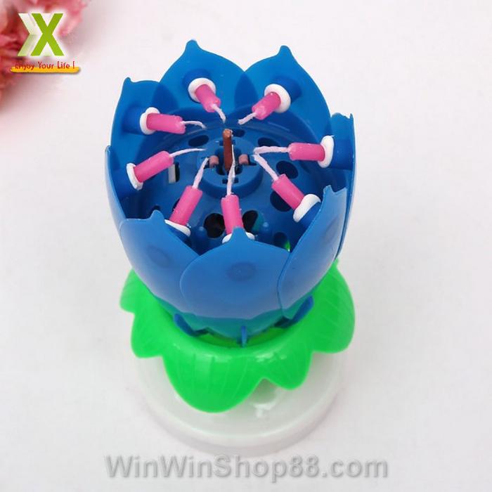 Nến sinh nhật nở hoa và phát nhạc V.2