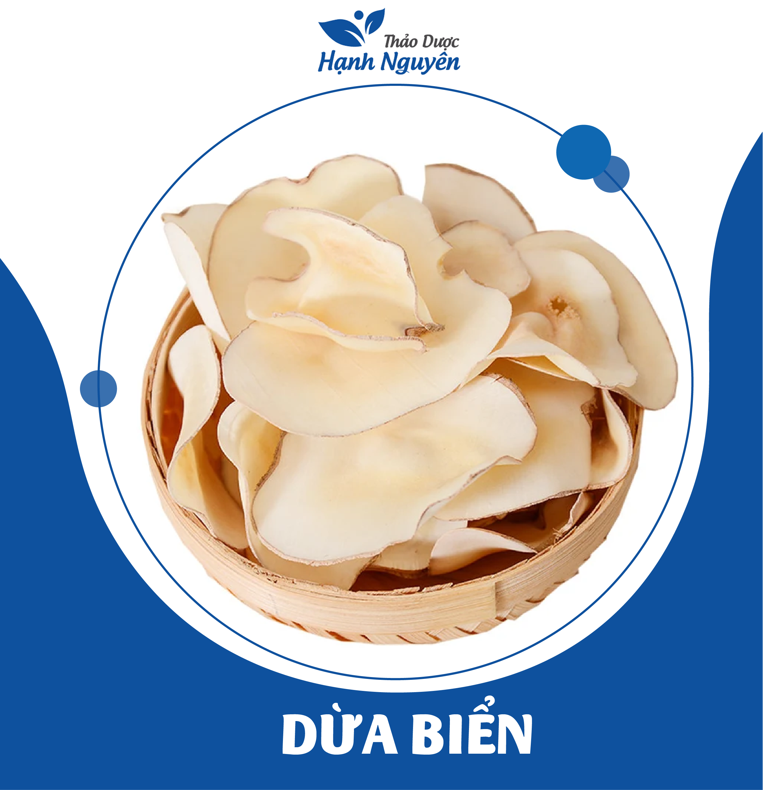 Dừa biển khô thái lan 100g - thảo dược hạnh nguyên