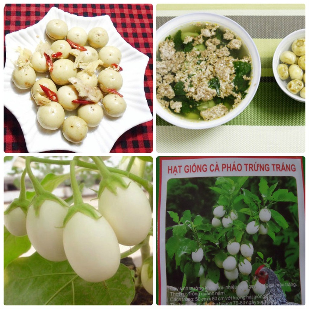 Hạt Giống Cà Pháo Trắng Cao Sản - 2gram(400 hạt)