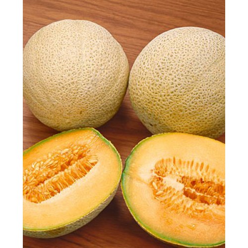 Hạt Giống Dưa Lưới Ruột Vàng