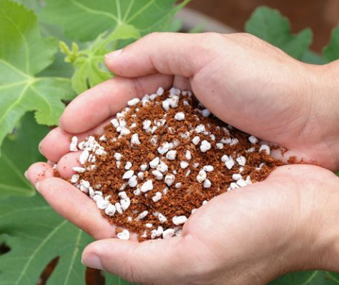 Đá Perlite Namix – Đá trân châu