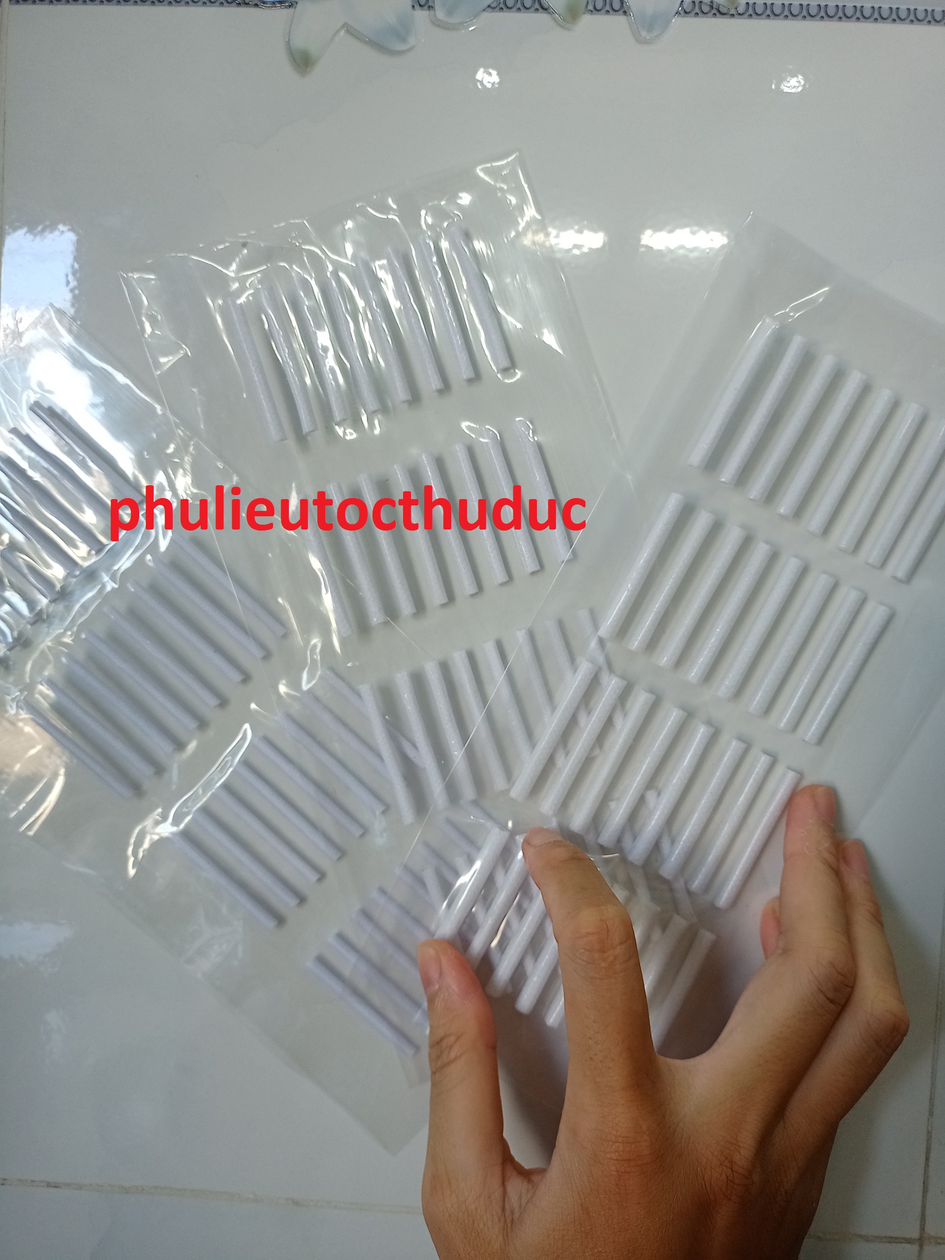 Xương uốn mi - phulieutocthuduc