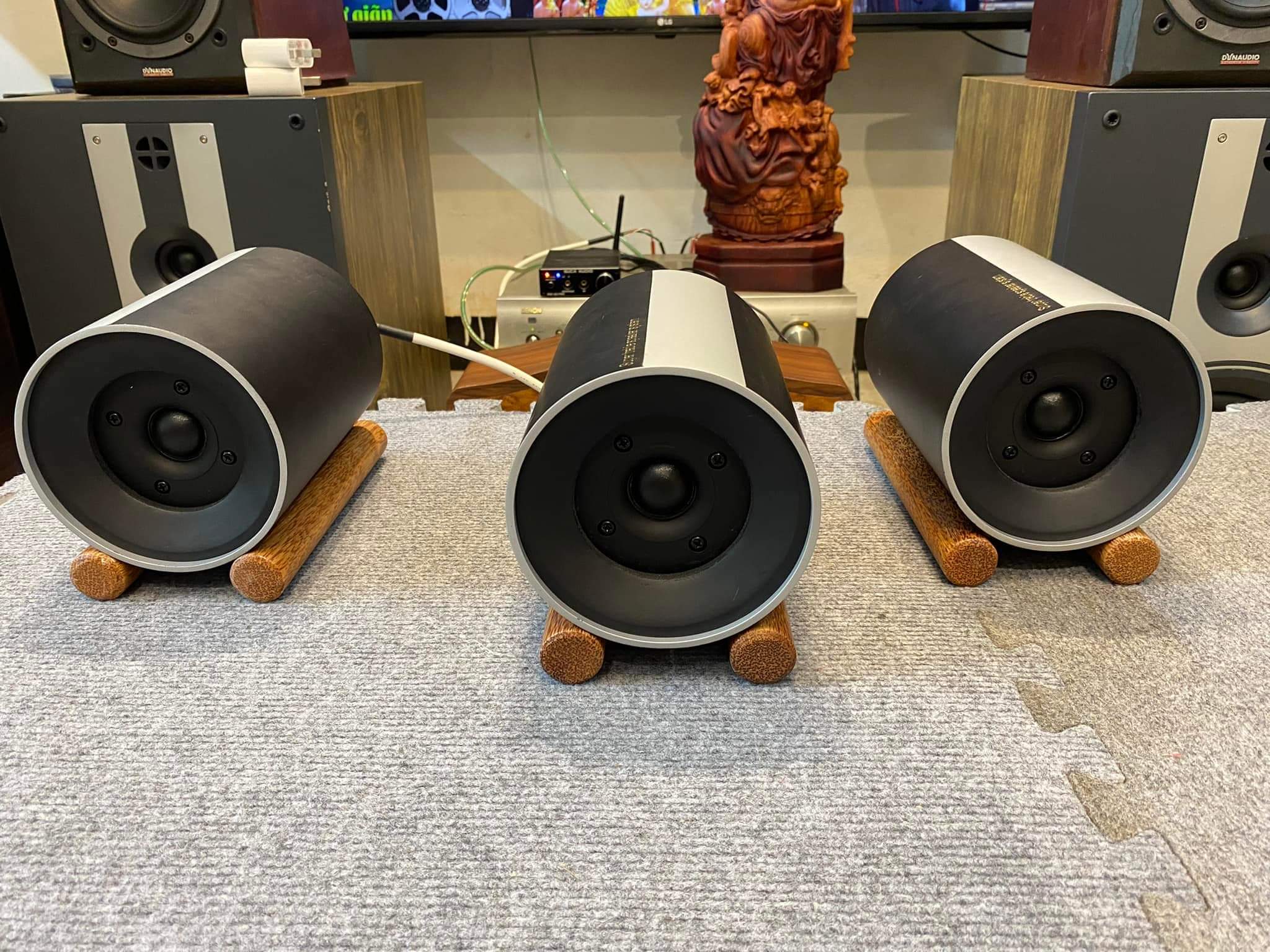 Cặp Loa Super Treble Pioneer VE3