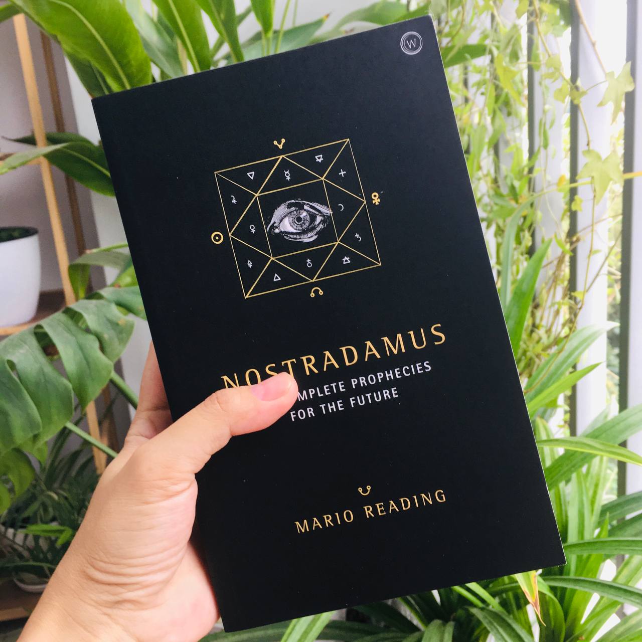 Sách Nostradamus : The Complete Prophecies for The Future (Paperback) (ISBN: 9781780288970)