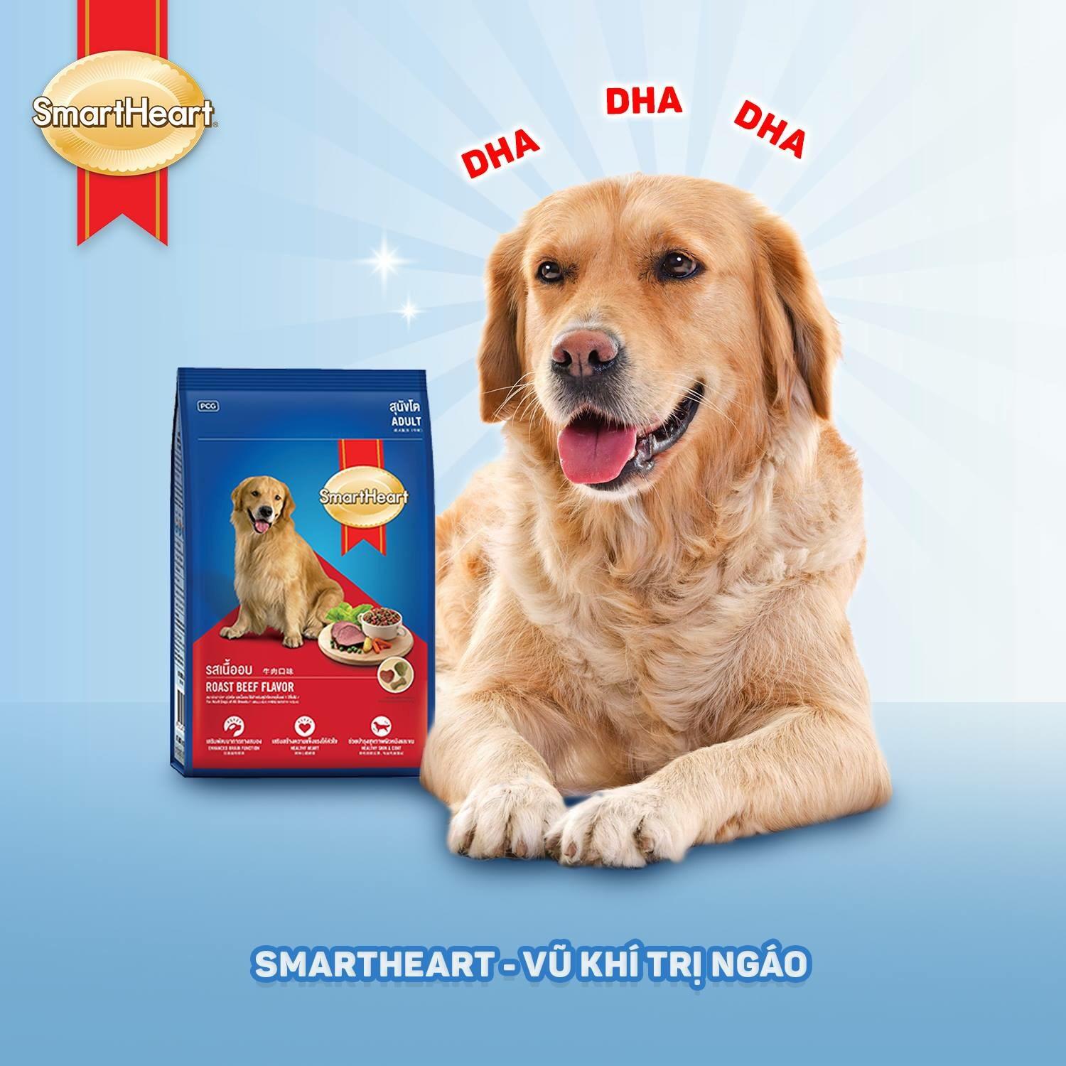 [Mẫu Thử] Hạt Cho Chó Lớn SMARTHEART 100g - Vị Thịt Bò - [Nông Trại Thú Cưng]