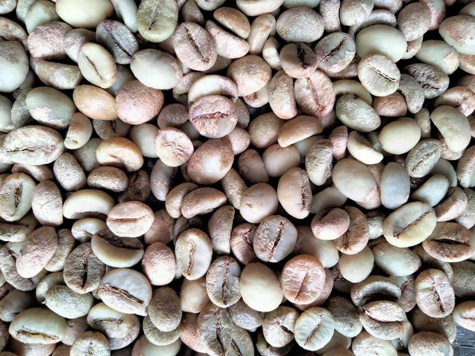 500g– cà phê nhân robusta thượng hạng
