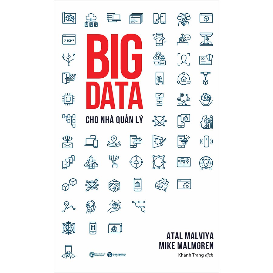 Big data cho nhà quản lý