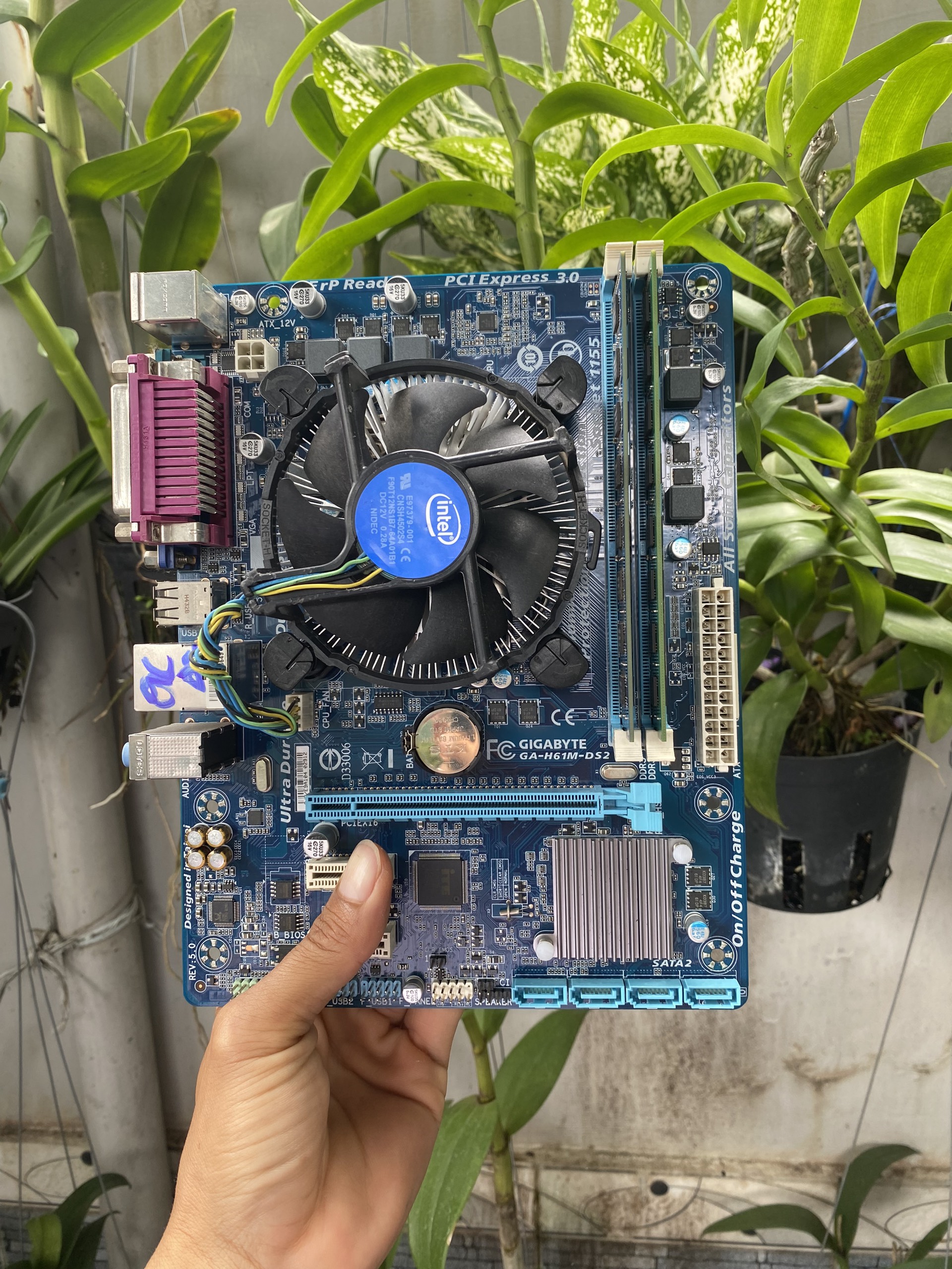 Main H61 -I5 3340