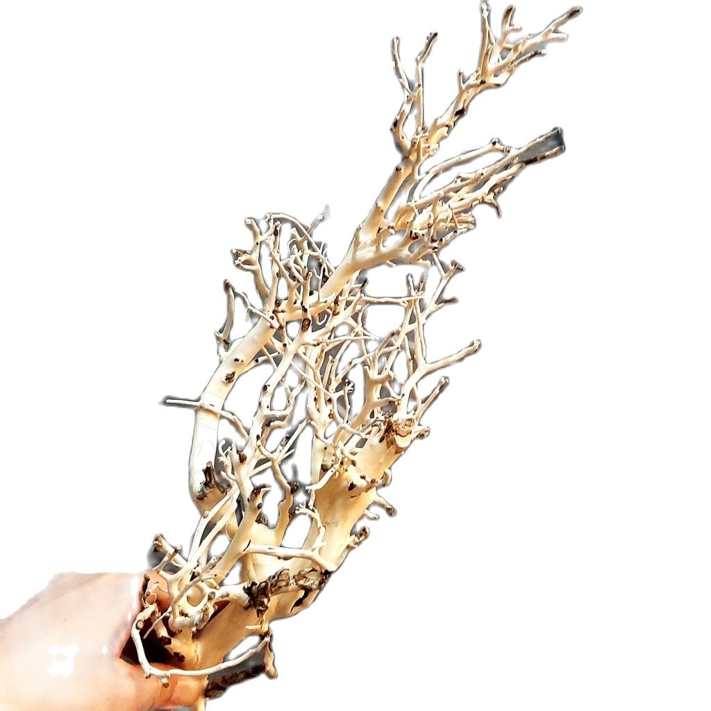 [Lấy mã giảm thêm 30%] Lũa Xương Chùm | Lũa Tán Quýt Mini | Lũa Tán Bonsai Tự Nhiên Cho Bể Thuỷ Sinh