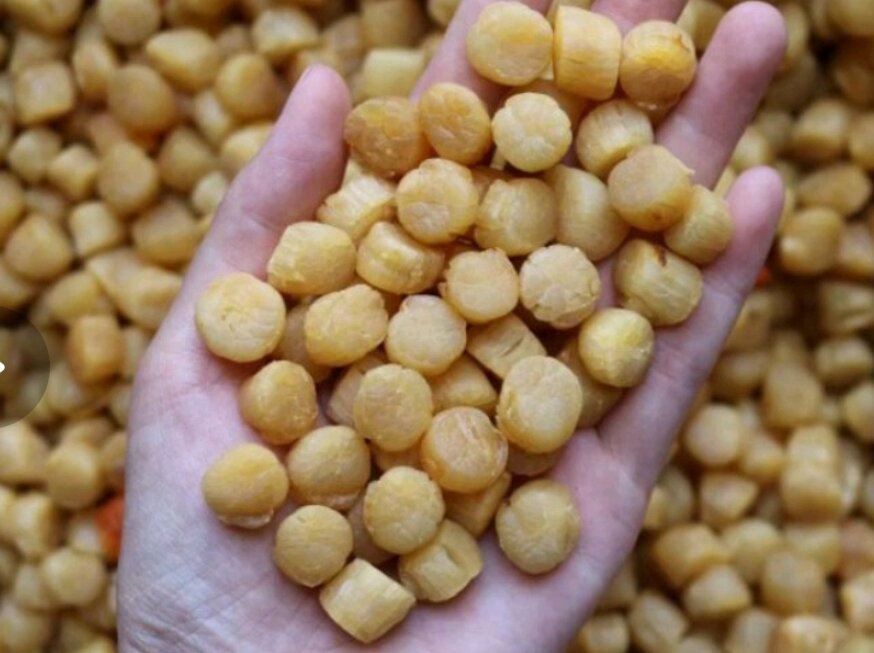 100g cồi điệp  nhật khô size nhỏ túi zip( MY FOOD FREE SHIP)