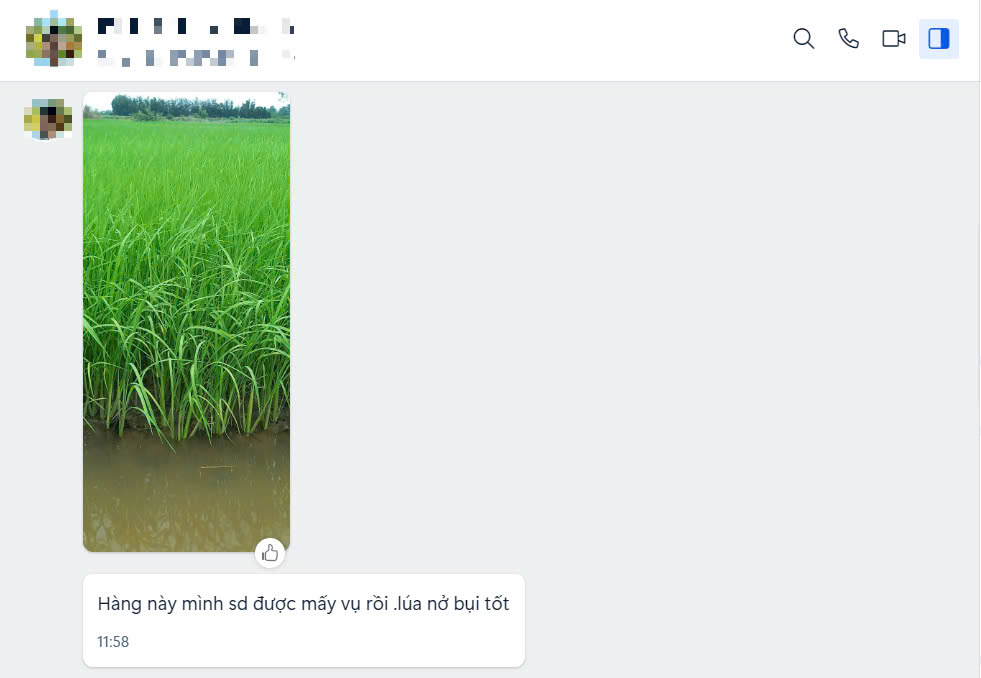 PHÂN BÓN CHO LÚA - RA RỄ, NỞ BỤI (CHAI 500ML)