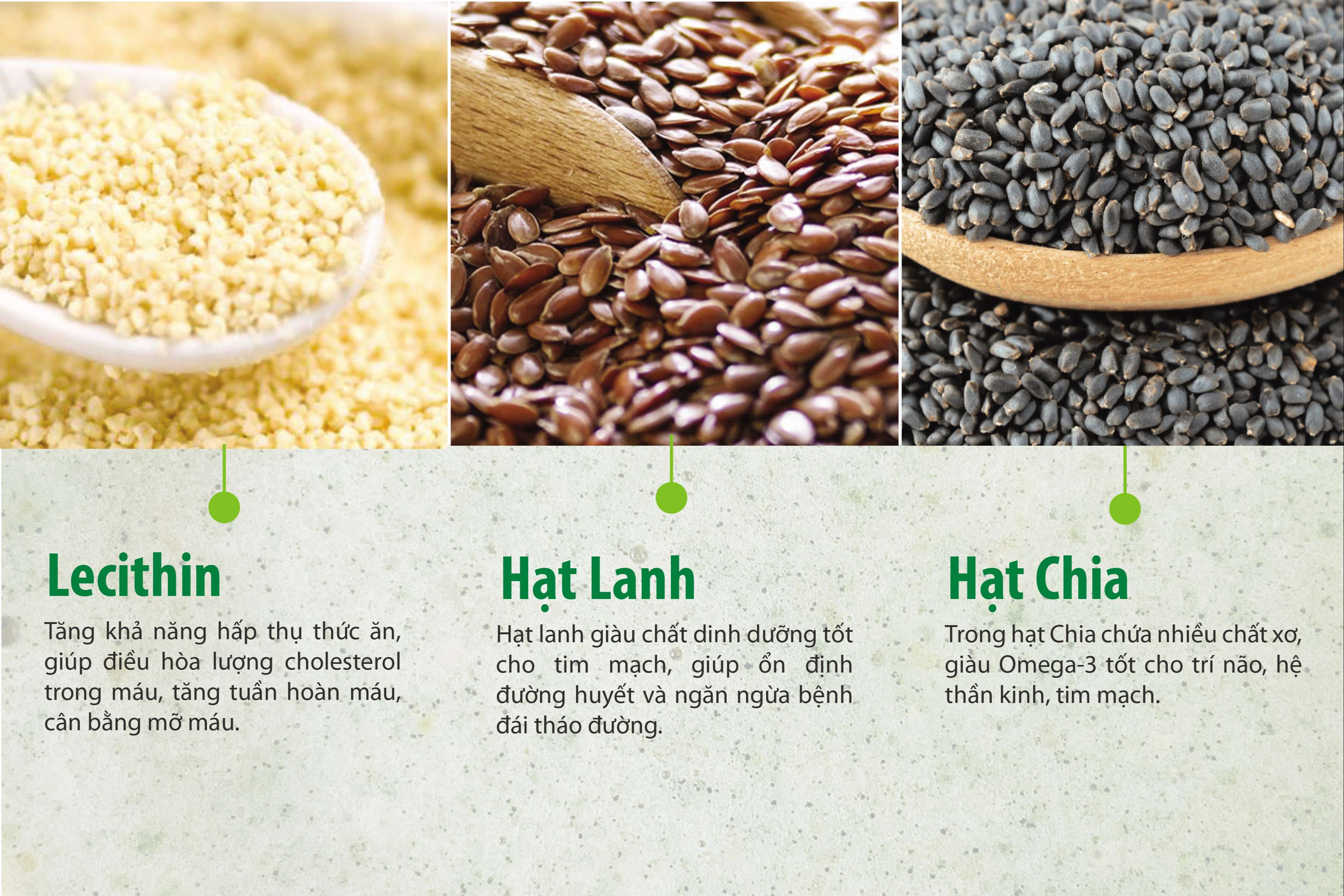Sữa Hạt Nhập Khẩu 25 Green Nutri - Dạng Lon(750gr)