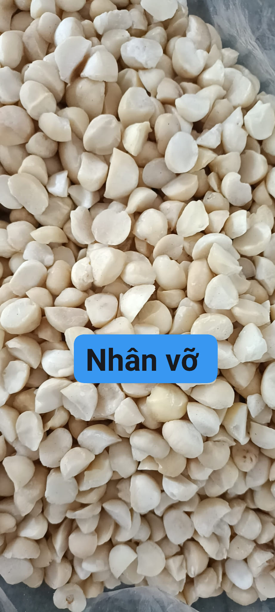 Hạt mắc ca Tây Nguyên 500gr (tặng kèm khui, đã sấy chín)