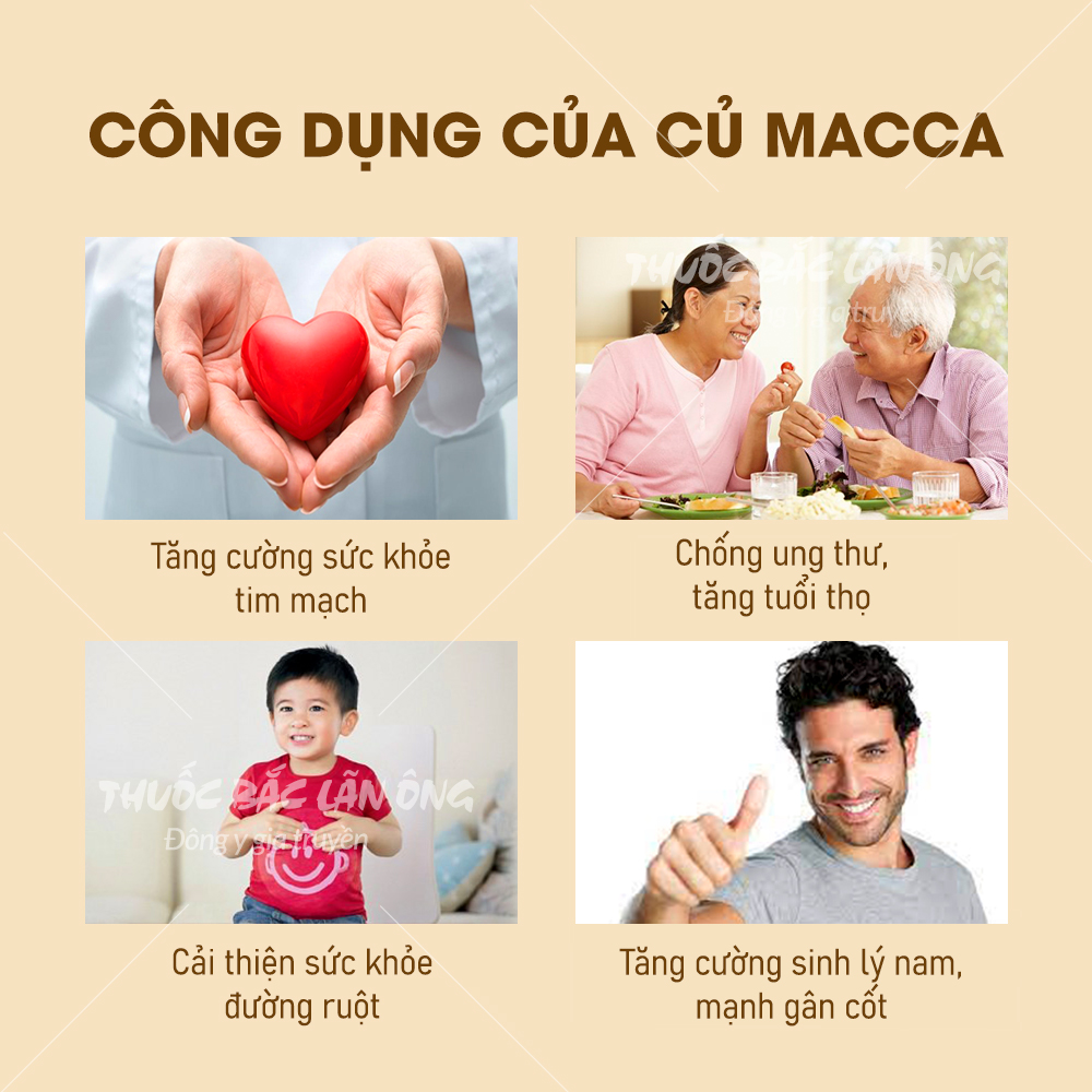 Sâm maca đen 100g (củ maca khô) – Lãn ông