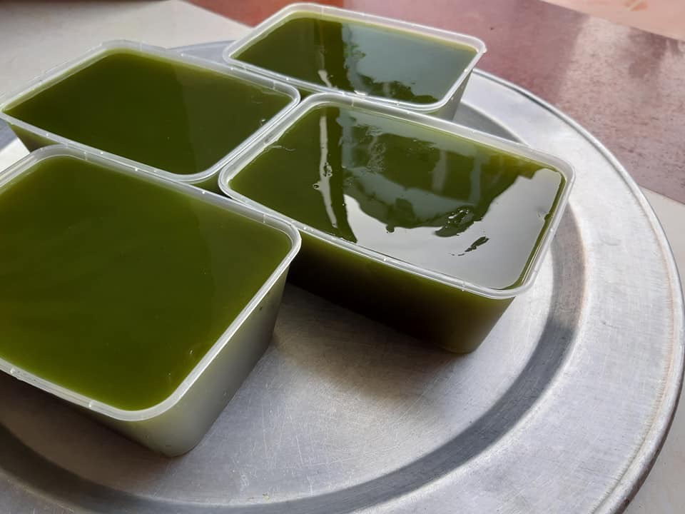 Bột lá găng, bột thạch xanh 100g loại 1