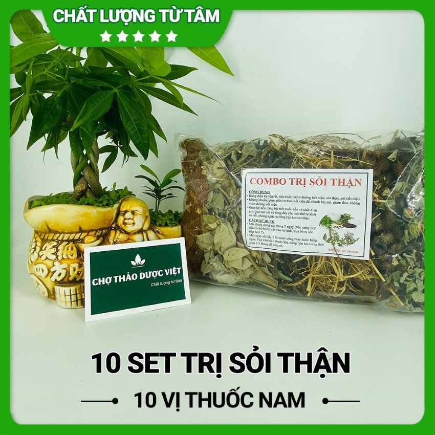 Combo 10 gói hỗ trợ trị sỏi thận gồm 10 vị lá nam quen thuộc