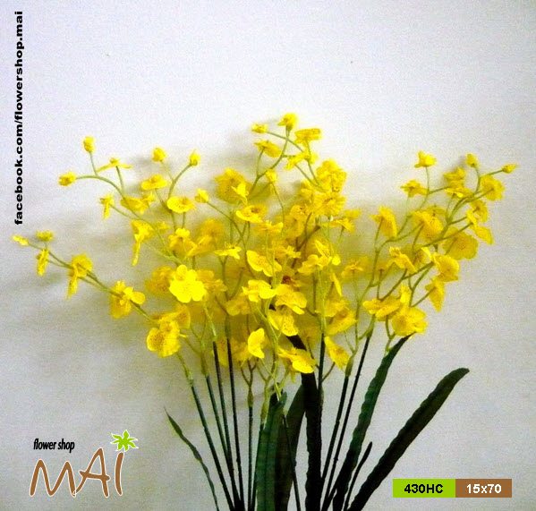 Hoa lan vũ nữ giả hoa lụa bó 10 cành