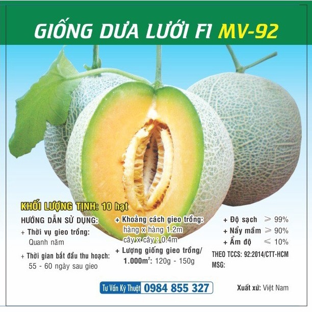 Hạt giống Dưa Lưới MV - 92