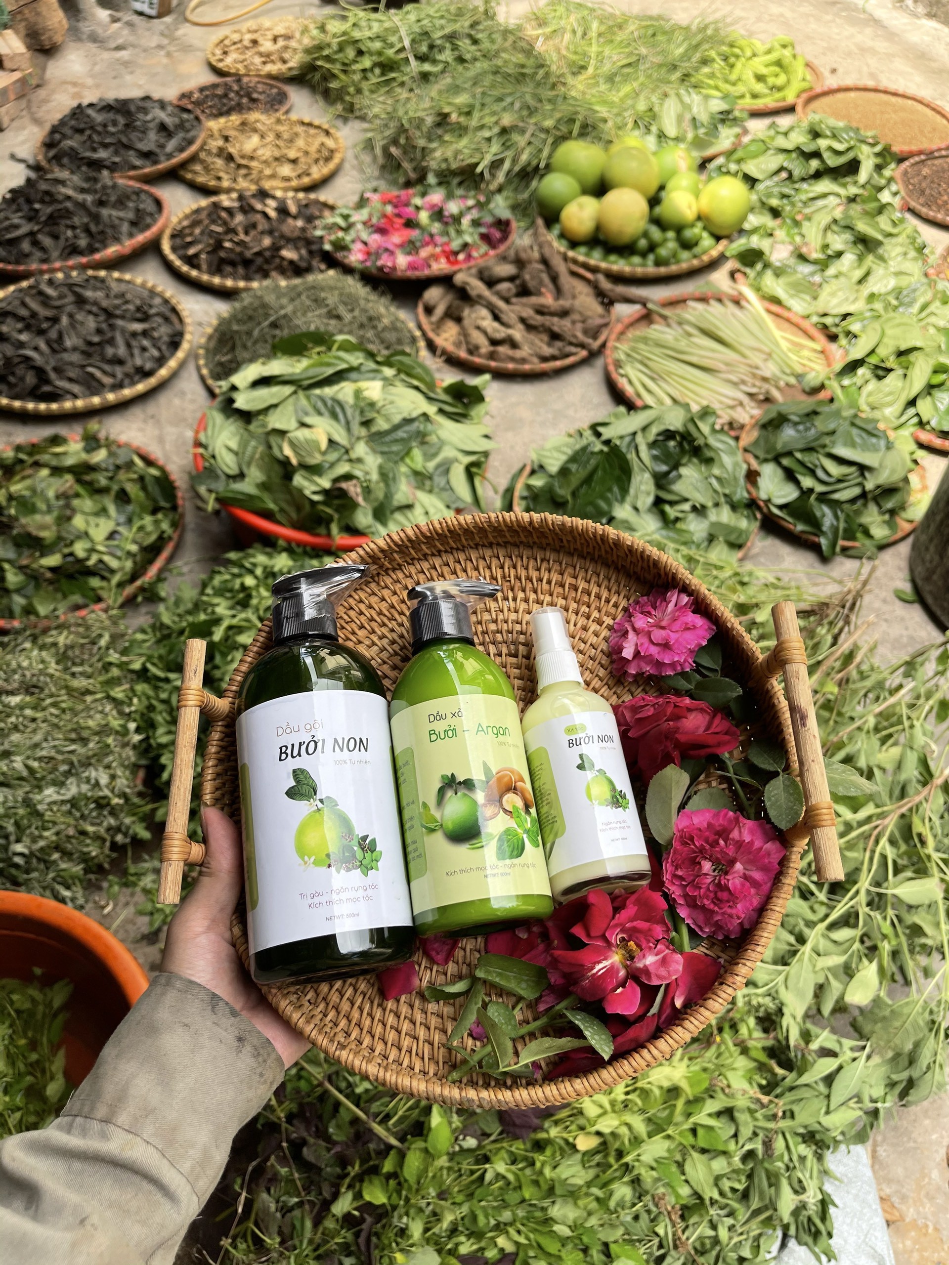 Dầu gội đầu  bưởi non kích thích mọc tóc 500ml-