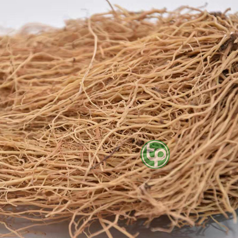 Tế tân khô 100g - Thảo Dược Tấn Phát