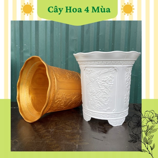 Combo 3 chậu nhựa tứ quý tròn trồng cây hoa loại 1 cực dày dặn size đại