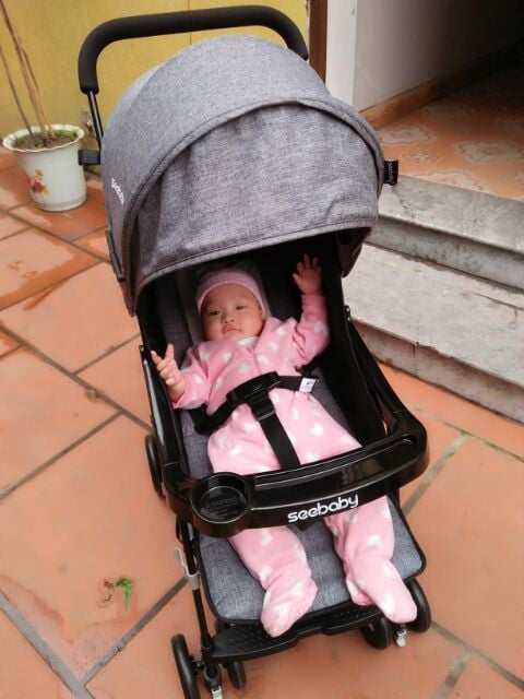 Xe đẩy seebaby QQ3 cho bé yêu