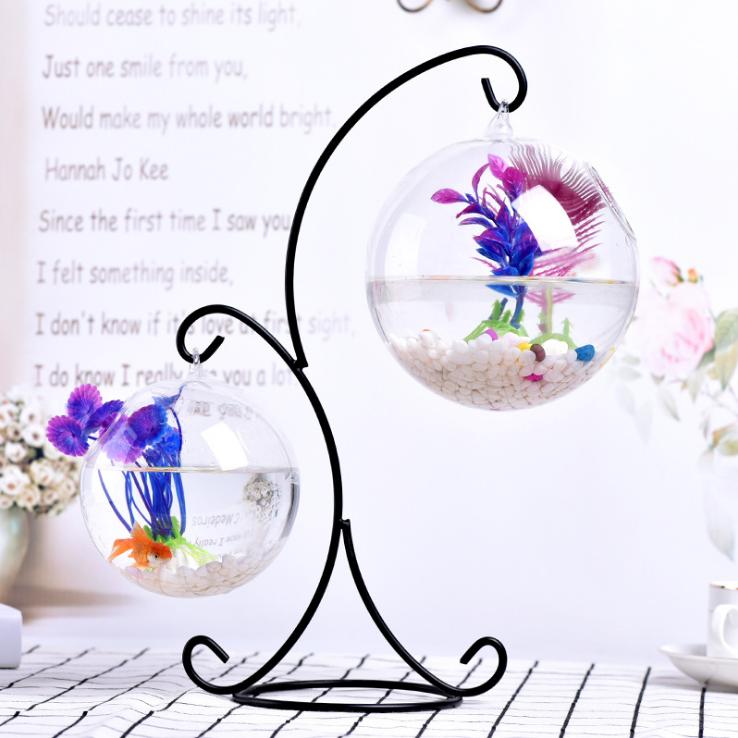 Bể cá mini Giá Treo tròn