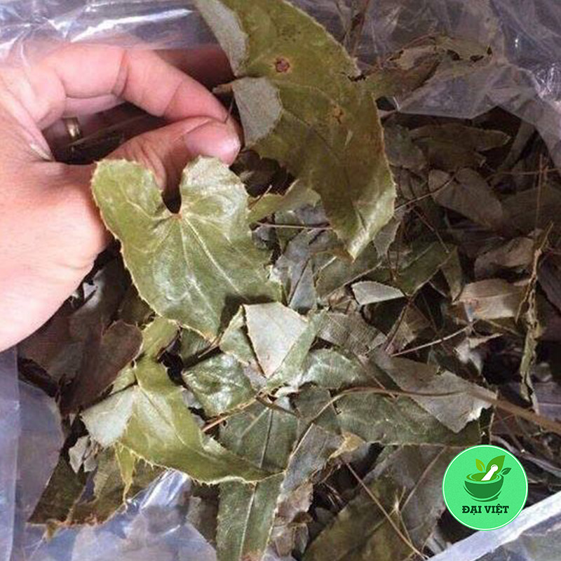 Lá dâm dương hoắc (gói 1kg) - DV034