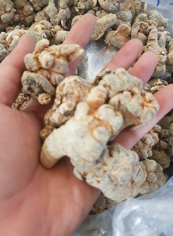 Củ Tam Thất Bắc Khô 100g ( loại 5 củ )