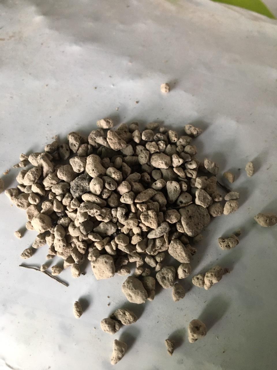 Đá núi lửa Pumice Indonesia cỡ 5 đến 8 mm  5 kg