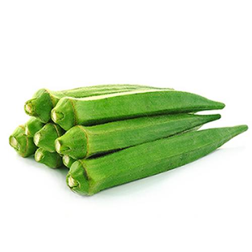 Hạt giống đậu bắp Thúy Kiều