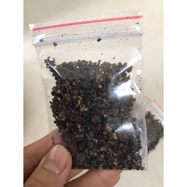 2 Gói gia vị mắc khén - hạt mắc khén