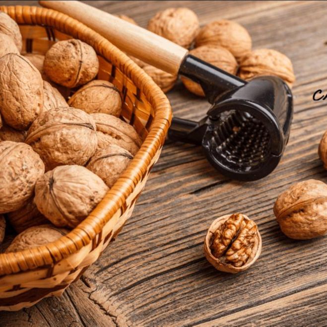 [HCM]Nhân Hạt Óc Chó Mourad túi 500g