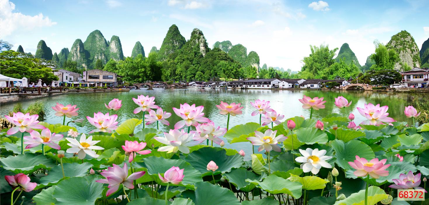 Tranh dán tường vải lụa hoa sen 3D KT 80x120cm