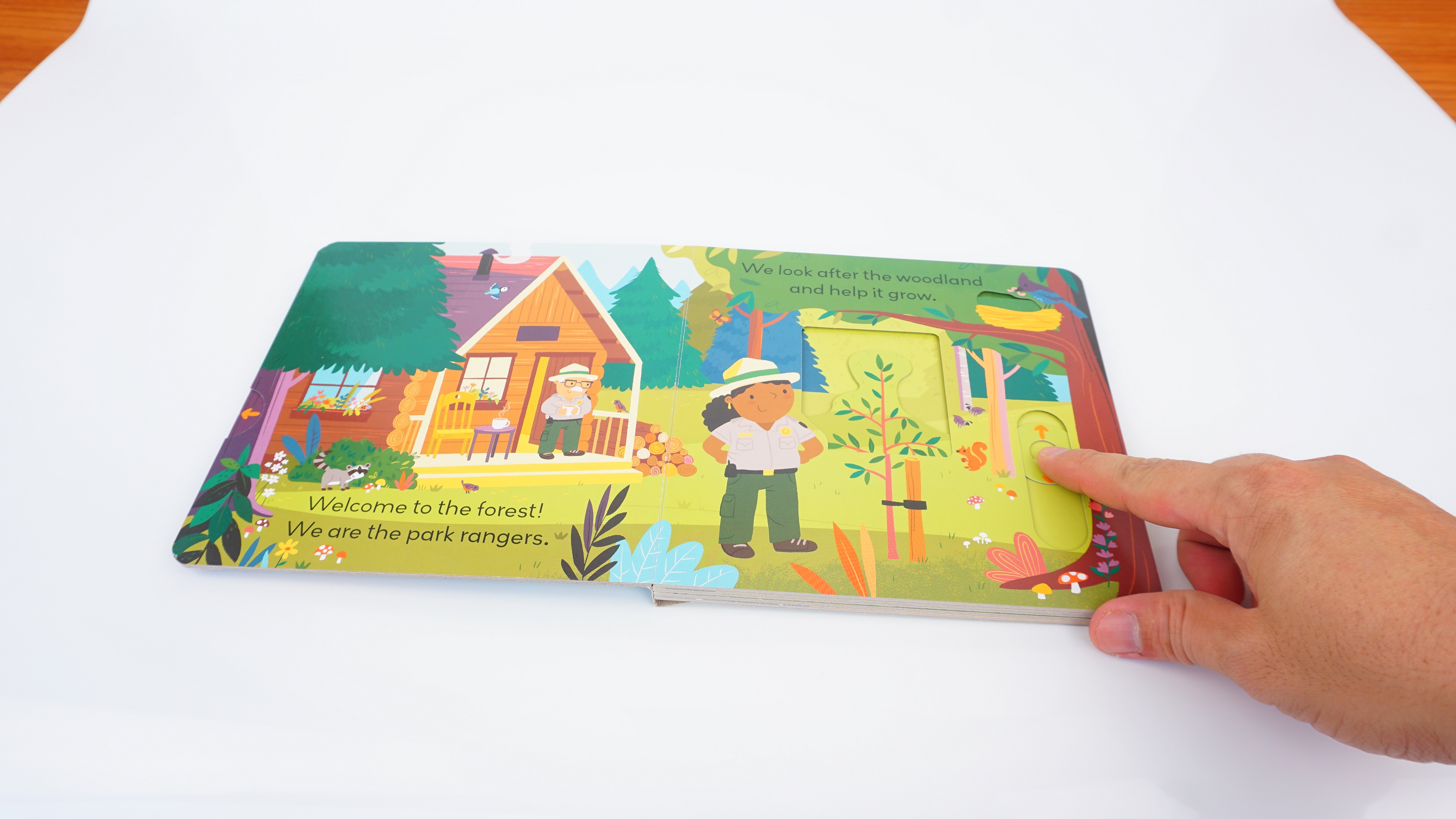 Little World: In the Forest : A push-and-pull adventure